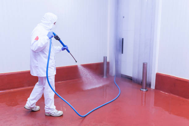 Best Concrete Sealing  in Williamsburg, KY